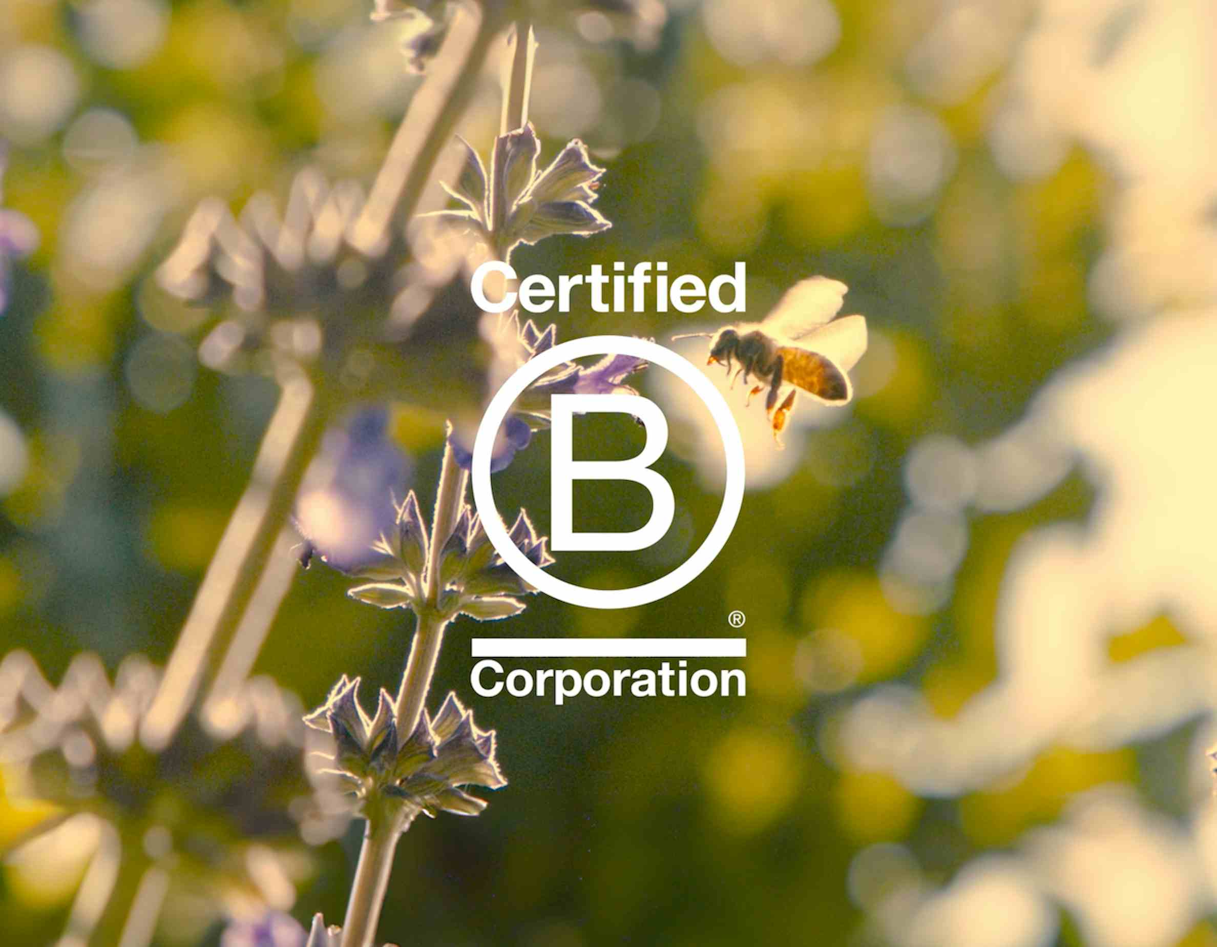 B Corp Certified
